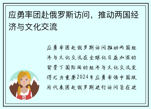 应勇率团赴俄罗斯访问，推动两国经济与文化交流