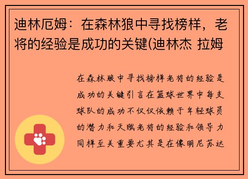 迪林厄姆：在森林狼中寻找榜样，老将的经验是成功的关键(迪林杰 拉姆)