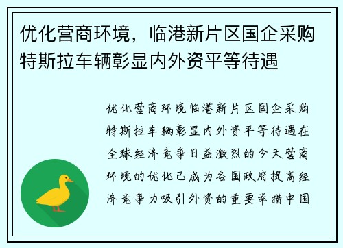 优化营商环境，临港新片区国企采购特斯拉车辆彰显内外资平等待遇