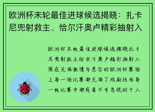 欧洲杯末轮最佳进球候选揭晓：扎卡尼兜射救主、恰尔汗奥卢精彩抽射入围